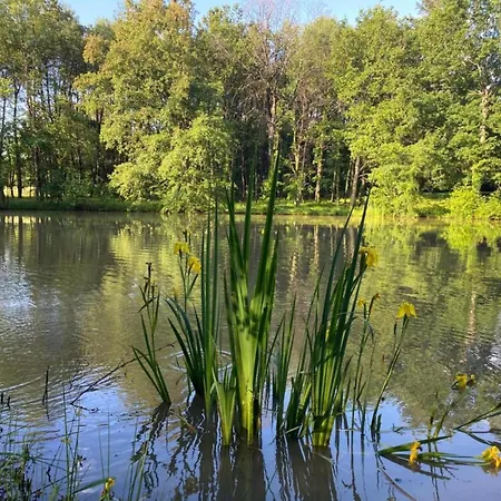 In Sarla With Private Pool, Cleaning Included Vakantiehuis Prats-du-Périgord